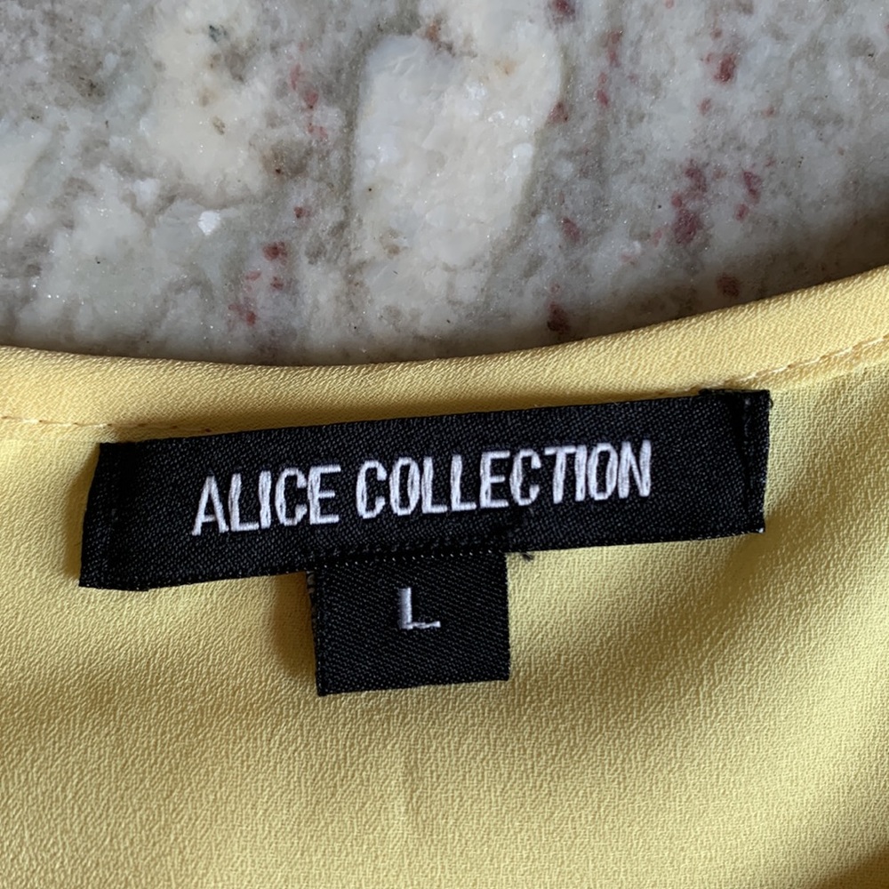 Alice Collection Sleeveless Dressy Top - Picture 4 of 10